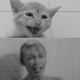 Illustration for article titled Here are two kittens reenacting the Psycho shower scene